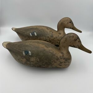 1950s Animal Trap Co Mallard Duck Decoys 17” Pair USA